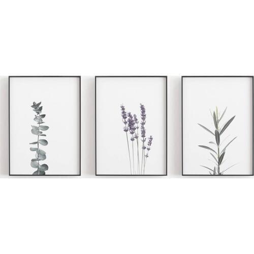 Watercolour Lavender Canvas Art Print And Poster , Botanical Canvas Painting Farmhouse Decor Eucalyptus Art Prints Wall Decor