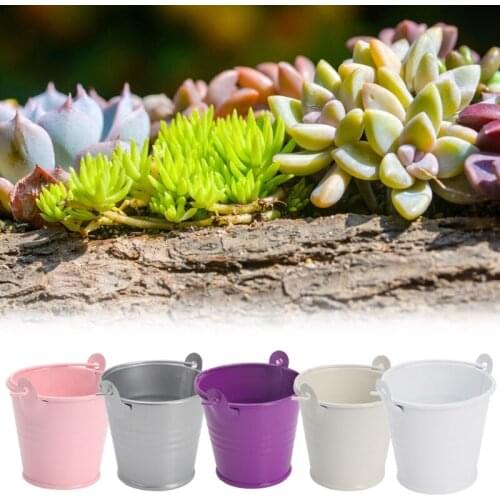Mini Flower Pot Metal Barrel Plant Succulent Plant Flowerpot Home Office Decor