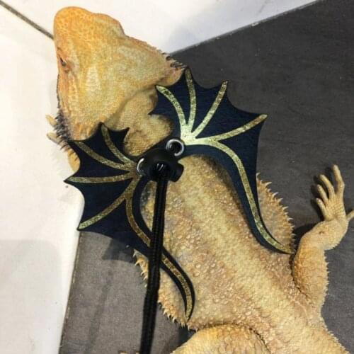 Reptile Lizard Traction Belt Adjustable Bearded Harness Leash with Cool