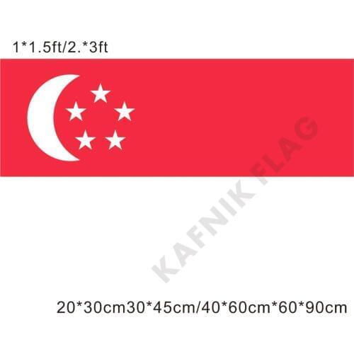 KAFNIK,free shipping 20*30cm/30*45cm/40*60cm/60*90cm small flags Singapore national Banner for Countries World Event Decorative