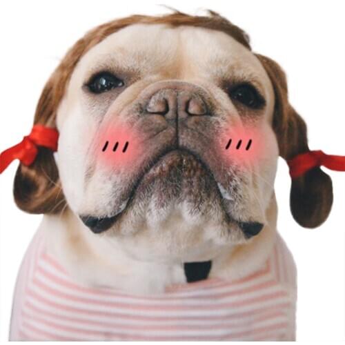 Funny Cute Pet Cat Costume Colorful Wig Cap Hat For Cat Dog Halloween Christmas Clothes Fancy Dress With Ears Pet Clothes