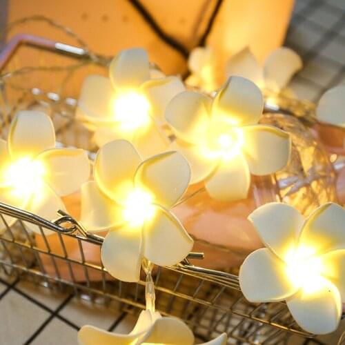 Led Lights Flashing Light String Sky Full Of Stars Proposal Confession Wedding Room Decoration Frangipani Lanterns Garlands