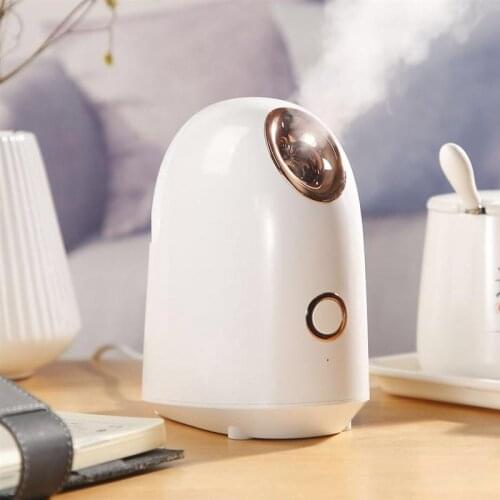 1Pc Vaporizer Nanometer Sprayer Facial Sprayer for Girl Office Lady