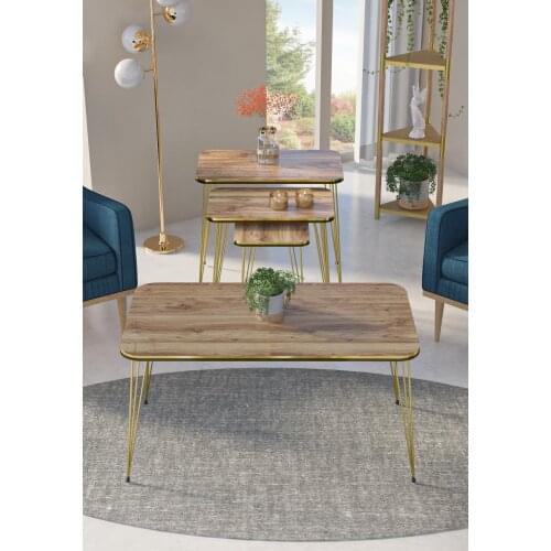 Modern Zigon Coffee Table And Medium Coffee Table Rectangle Set Double Gold Walnut Wire Foot İskandinav Also Mounted Tea Coffee Service Table living Room