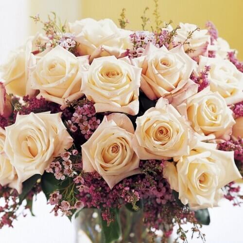 Lovely rose Cross Stitch Embroidery Kits scenery Cotton Thread Painting Diy Needlework Dmc New Year Home Christmas Gift