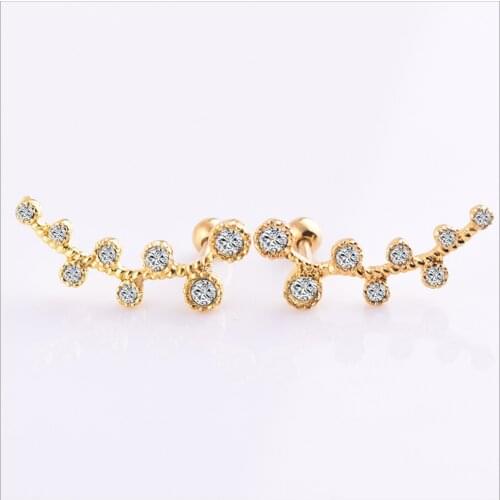 316L Surgical Steel Leaf Earrings Earrings Piercing Leaf Ear Bone Nail Body Piercing