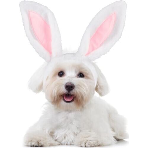 1pc Bunny Ears Decor Pet Headband Cute Dog Rabbit Ears Headwear Pet Headdress For Easter Hair Accessories Pet Supplies