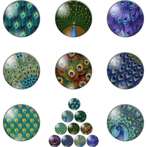 Beautiful Peacock Feather Texture Patterns 10mm/12mm/16mm/18mm/25mm Round Photo Glass Cabochon Demo Flat Back Making Findings
