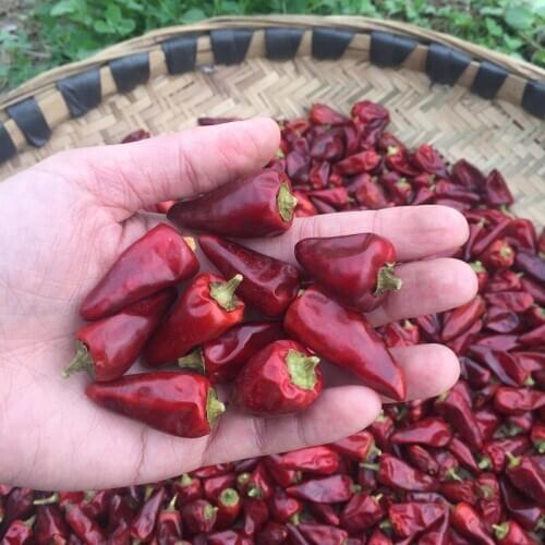 500g Bullet chili Dried bell chili Red Chaotian chili for Cooking, Baking, Grounding