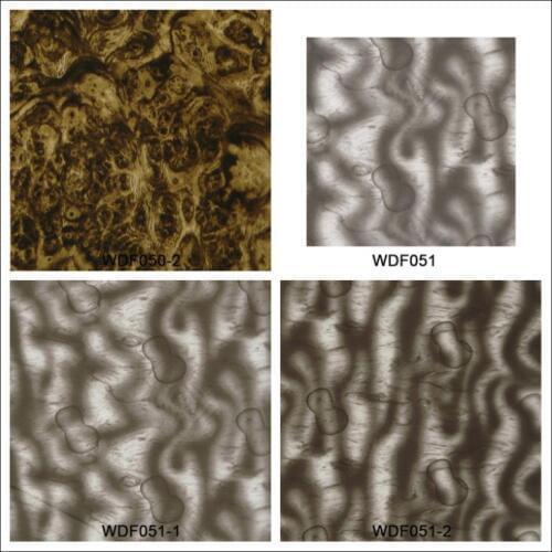 WW044 Decorative Material 1x50m wood water transfer film transfer printing film