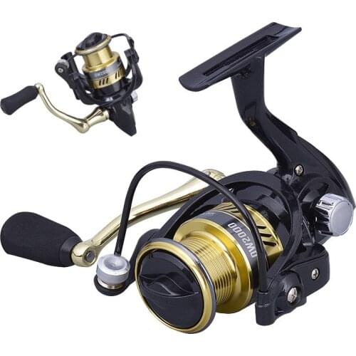 2020 Hot Sale DW2000 series Spinning Fishing Reel 8KG Max Drag 5.2:1 Gear Ratio Carp Saltwater Reel Bass Pike Fishing Line Spool