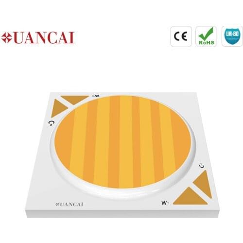 Two Color Cob Light Source 2424-21mm 30W 2700-6500k Ra90 Cob Chip Of Two Color Temperature Spotligh