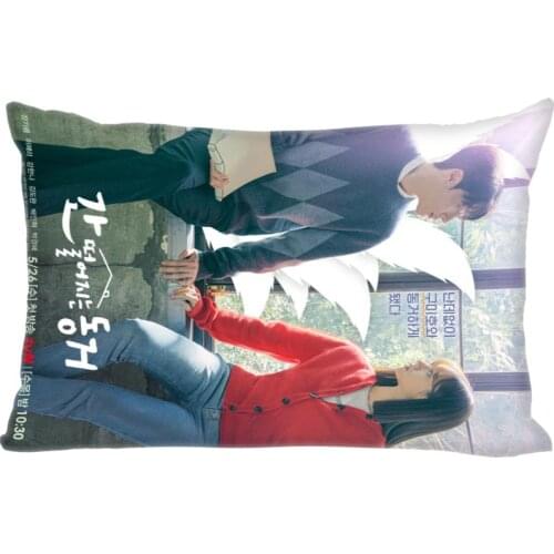 Custom Double Sided Pillow Slips TV My Roommate Is A Gumiho Rectangle Pillow Covers Bedding Comfortable Cushion/High Quality