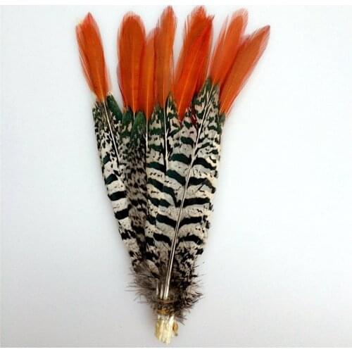 Natural Lady Amherst Pheasant Feathers for Crafts 5-30cm/2-12" Feathers for Jewelry Making Wedding Feathers Decoration Plumas