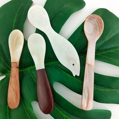 Shell Spoon Deep Sea Shell Spoon Tableware Home Spoon Seasoning Box Spoon Brown Tablespoon