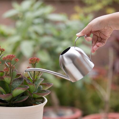 Mini Indoor Plants Watering Pot Brushed Stainless Steel Watering Can for Kids Office 500ml