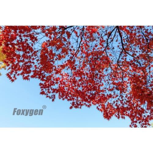 Manufacturer Dightal printing and UV printed high quality stretch ceiling film good price from china factory