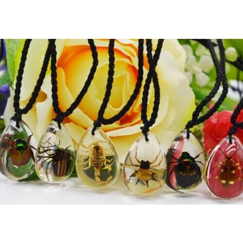 Acrylic Water Drop Insect Specimen Personalized Specimen Gift Various Insect Specimen Bracelets