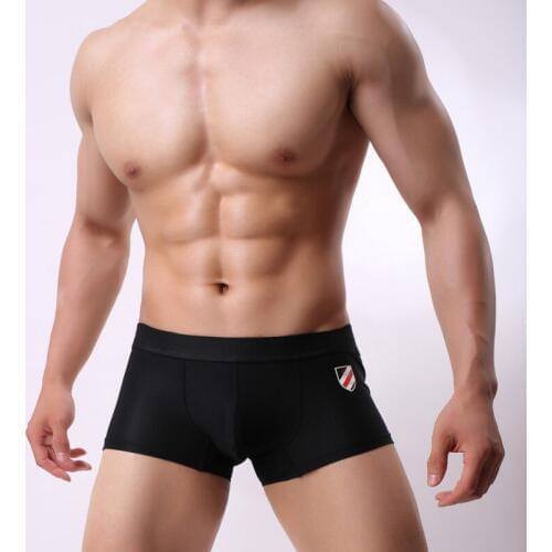 Brave Person Men's Family Briefs