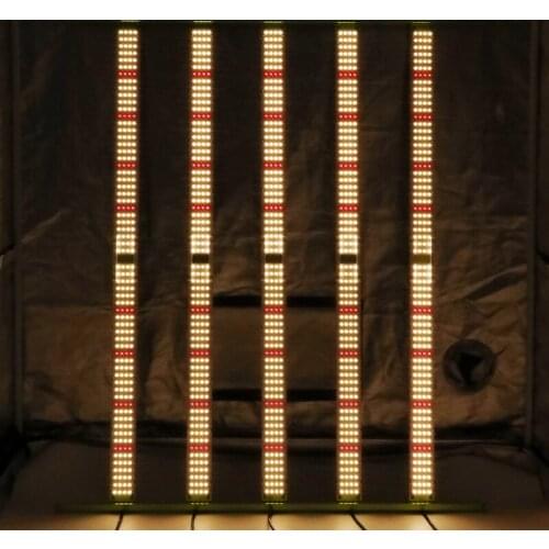 Kingbrite 600W Samsung Lm301H/LM301B with epistar 660nm W55 series strip bar grow light