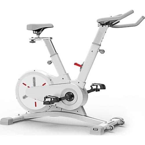 Home Magnetron Spinning Bike Smart Indoor Exercise Bicycle Multi-speed Variable Speed Gym Sports Fitness Equipment Burn Calories