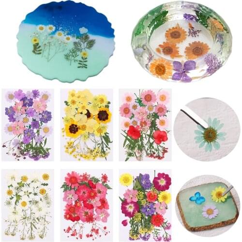 1Bag Dried Flowers UV Resin Decorative Natural Flower Sticker 3D Dry Beauty Decal Epoxy Mold DIY Filling Material Jewelry Making