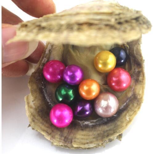 5/10/20Pcs Edison Oyster Pearl Saltwater Natural Pearl Loose Big Large beads Decorations Vacuum-Packaged Jewelry DIY EE2032