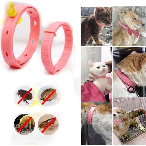 Dog Cat Collar Anti Flea Mosquito Lice Puppy Kitten Collars Pet Necklace Outdoor Insecticidal Kill Insect Adjustable