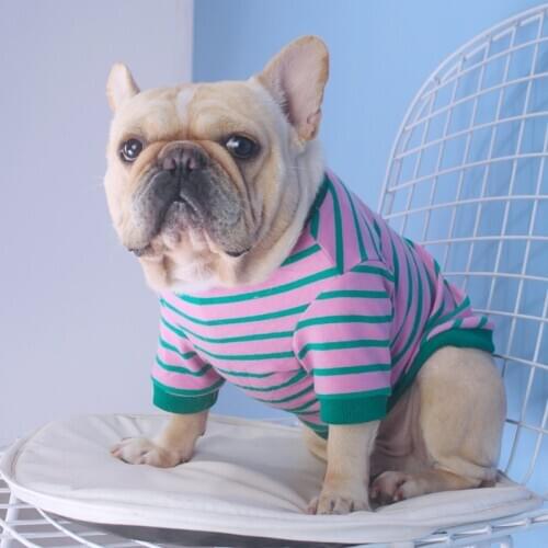 Tiger Dog Striped T-shirt Sweater Pet Dog Clothes For Corgi Teddy Dog Ropa Perro French Bulldog Pets Clothing Suit Spring Autumn