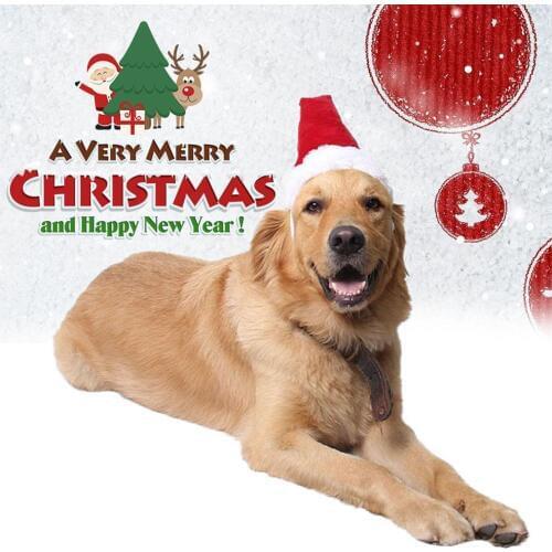 Dog Cat Caps Pet Santa Hat Birthday Scarf And Collar Bow Tie Christmas Costume For Puppy Kitten Small Cats Dogs Pets Accessories