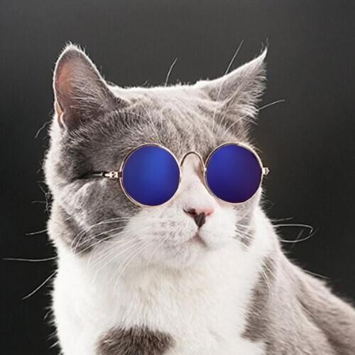 1pc Lovely Pet Cat Glasses Dog Glasses Pet Products For Little Dog Cat Eye-wear Dog Sunglasses Colorful Pet Photos Accessories