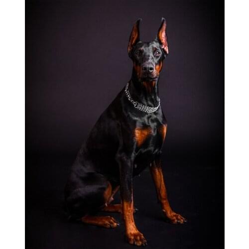 Full 5D DIY Diamond Painting Doberman Pinscher Diamond Embroidery Dog Cross Stitch Kit Mosaic Rhinestone Decor Painting
