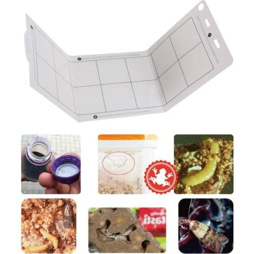 Ловушки для насекомых EECOO China At AliExpress