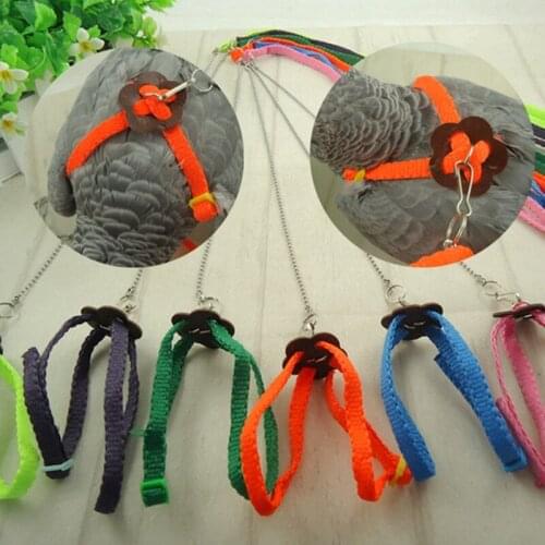 Anti Bite Flying Band Parrot Bird Leash Outdoor Adjustable Harness Training Rope