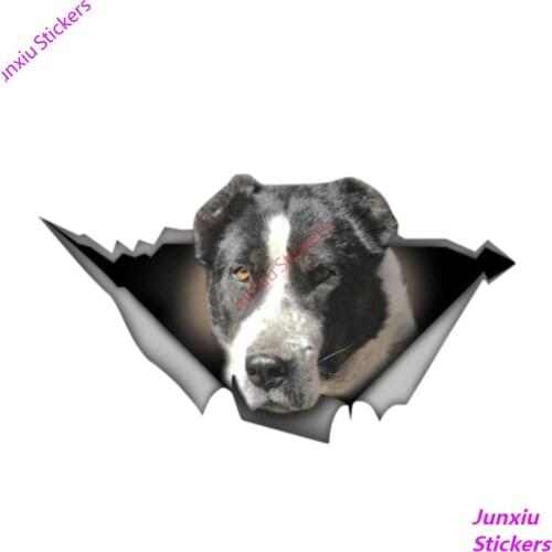 Personality Black White Alabai Vinyl Waterproof Car Window High Quality Accessories Vinyl Motorcycle Decorative PVC 13cm X 7cm