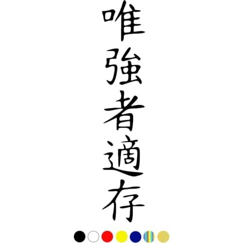 CS-910#10*50cm Hieroglyph survives the strongest funny car sticker vinyl decal white/black for auto car stickers styling