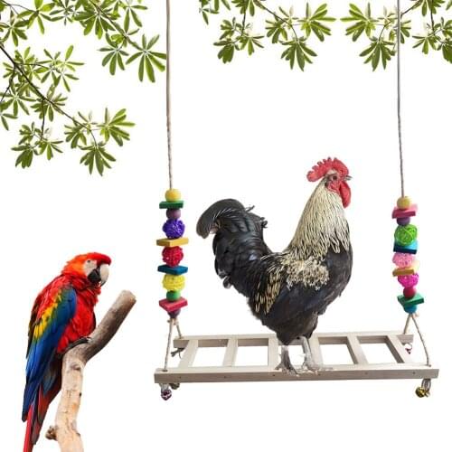 Chicken Swing Toy Bird Perch pet stairs Hammock Perfect for Hens Bird Parrot Macaw #W0