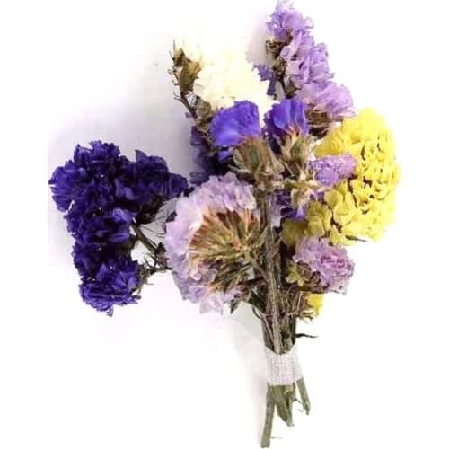Mixed Colors Natural Dried Flowers Bouquet Do not forget me for DIY Art decorations Card Making Decoration Accessories 5g/Bag