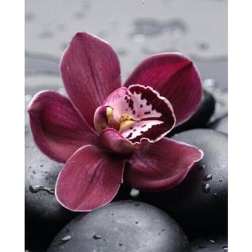 5D DIY Diamond Painting Flower Picture Flower Beautiful View Picture on Stone Square/Round Diamond Cross Stitch Decor WG3035