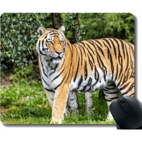 Personalized Mouse Pad,Tiger Predator Big Cat 181256 Non-Slip Rubber Base Mousepad