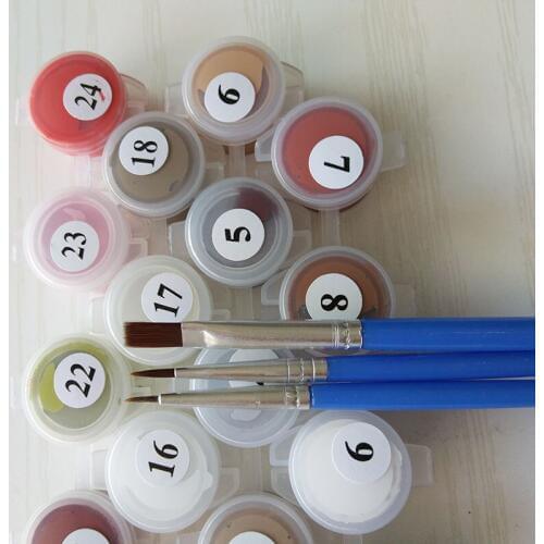 Paint by Numbers for Adult DIY Paint by Number Kits for Kids Beginner on Canvas UY8