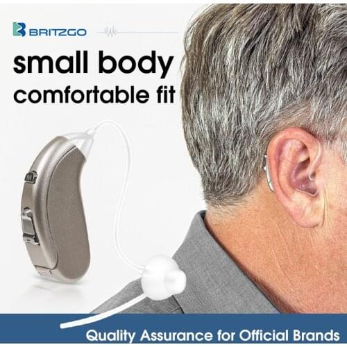 Britzgo 702 Hearing Aid Hearing Amplifier For Adults To Aid In Hearing Recreation. Noise Cancelling Personal Sound Amplifier