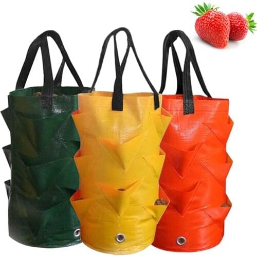 Garden Planting Bag Strawberry Grow Bag 3L Multi-mouth Vertical Flower Herb Tomato Planter Bag