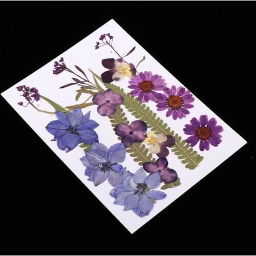 1 Set Assorted Dried Flowers For DIY Cards Scented Resin Candles Decorate