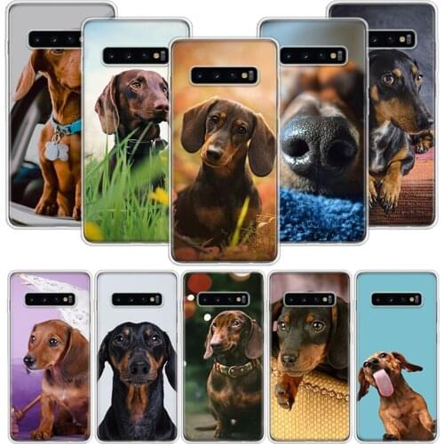 Dachshund Teckel Dackel Dog Phone Case For Samsung Galaxy S10 S20 S21 S9 S8 S7 Note 10 20 9 8 FE J4 J6 Ultra Plus Lite Pro + Edg