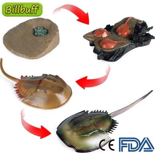 2021 Simulation Wild Animals ABS Centipede Horseshoe Crab Snake Model Figures Collection Cognition Educational Toys for Children