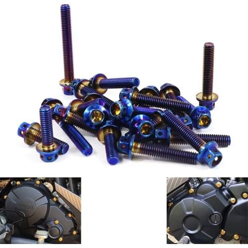 Fit for YAMAHA MT09 MT-09 MT 09 2014-2021 Stainless Steel Crankcase Cover Bolt Kit Engine Cover Bolt Aftermarket Use