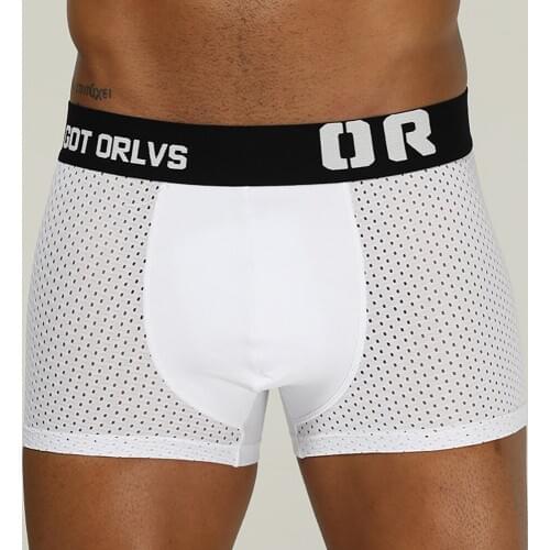 ORLVS Mesh Boxershorts Men Comforable Panties Set Gay Sexy Underwear Man Boxer4Color Free Shipping 2021Hot M/L/XL/XXL OR207