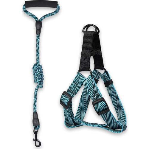 Durable Nylon Leash Foam Pet Rope Leash Training Lead Pet Dog Leash Cats Dogs Harness Collar Lead Strap Dog Harness Collar Lead