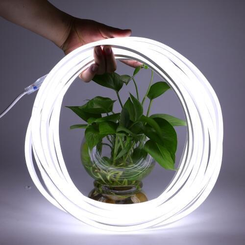 ZHINUO Lighting For Aquariums